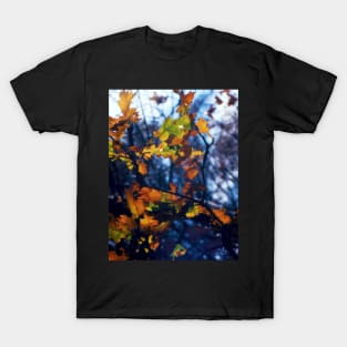oak leaves in autumn T-Shirt
